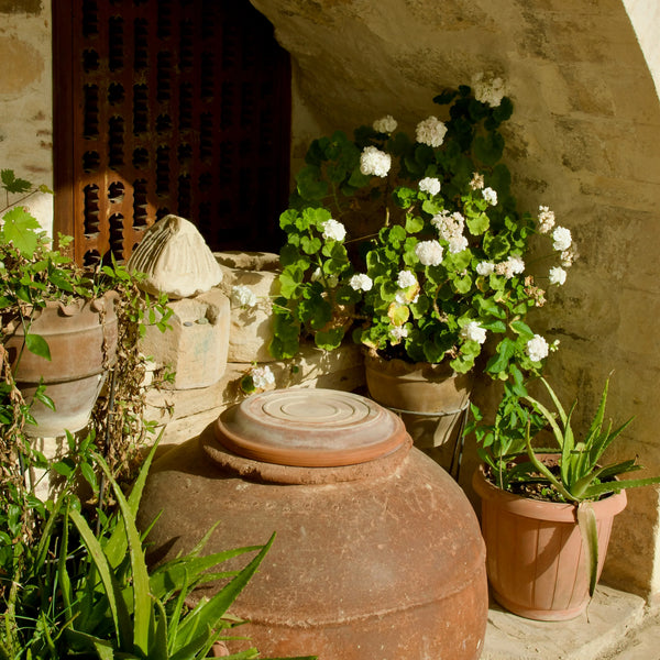 Heritage Terracotta Storage Vessel